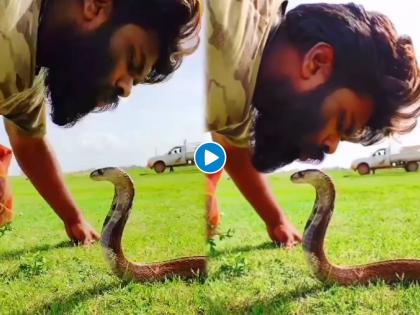 Snake Video : Man kiss to snake viral video | बाबो! तरूणाचा फणा काढलेल्या सापाला किस करतानाचा व्हिडीओ व्हायरल...