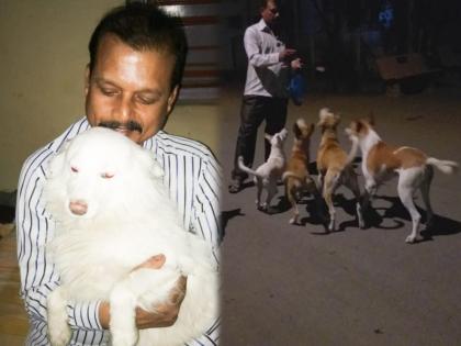 Dog loving police constable from Mumbai who feed them every day | दिलदार पोलीस हवालदार, गेल्या २० वर्षांपासून मोकाट श्वानांवर करतोय आपल्याच लेकरांसारखं प्रेम