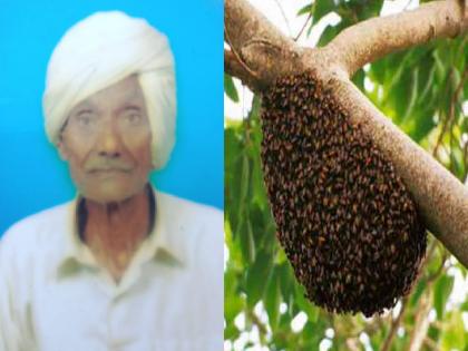 Elderly farmer killed bee attack in Mendholi in Ajara Taluka Kolhapur District | कोल्हापूर: मधमाशांच्या हल्ल्यात मेंढोलीतील वयोवृद्ध शेतकरी ठार