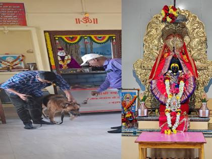 Kolhapur: उत्तूर, चव्हाणवाडीतील तीन मंदिरात चोरी; मूर्तीच्या हातातील त्रिशूल, धातूचा कलश, पादुका केल्या लंपास Kolhapur: उत्तूर, चव्हाणवाडीतील तीन मंदिरात चोरी; मूर्तीच्या हातातील त्रिशूल, धातूचा कलश, पादुका केल्या लंपास