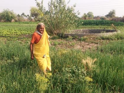 84-year-old grandmother farming; Earns millions a year | ८४ वर्षांची आजी कसते शेती; वर्षाकाठी मिळविते लाखोंचे उत्पन्न