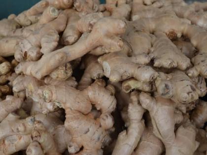 Implement the decision to buy Ginger everywhere, demands of Swabhimani Shetkari Saghtana | सरसकट 'आले' खरेदीचा निर्णय सर्वत्र राबवा, स्वाभिमानी शेतकरी संघटनेची मागणी 