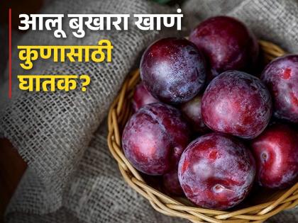 Health Benefits of Aloo Bukhara And Its Side Effects | 'या' लोकांनी चुकूनही खाऊ नये आलू बुखारा, जाणून घ्या नुकसान!