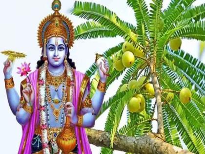 Amalki Ekadashi vows that give freedom and salvation from diseases! | रोगांपासून मुक्ती आणि मोक्ष देणारे आमलकी एकादशीचे व्रत!