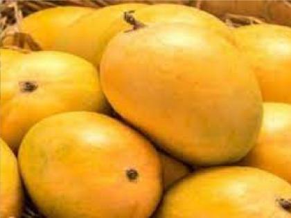 For the first time mangoes from India were shipped to the US by sea, a historic moment in exports | भारतातून प्रथमच आंबा समुद्रमार्गे अमेरिकेला रवाना, निर्यातीमधील ऐतिहासिक क्षण