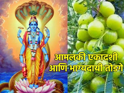 Amalaki Ekadashi 2024: Do 'This' Special Remedy Today on Amalaki Ekadashi; Get wealth-grain-prosperity! | Amalaki Ekadashi 2024: आज आमलकी एकादशीनिमित्त 'हे' खास उपाय करा; धन-धान्य-समृद्धी मिळवा!