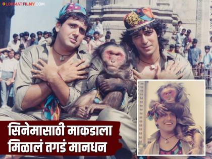 Neither Chunky Pandey, nor Govinda, the highest paid monkey in 'Ankhen', stayed in a 5 star hotel. | ना चंकी पांडे, अन् नाही गोविंदा, 'आंखें'मध्ये सर्वाधिक मानधन होतं माकडाचं, राहिला होता ५ स्टार हॉटेलमध्ये