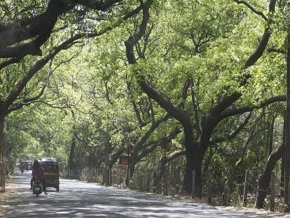 Now the roads will change under Aarey! After all, the responsibility of maintenance and repair to the municipal corporation! | आता आरेच्या अंतर्गत रस्त्यांचे रुपडे पालटणार! देखभाल-दुरुस्तीची जबाबदारी अखेर महापालिकेकडे!