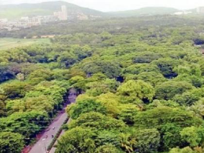 it has been three weeks for the aarey residents waiting for the executive officer | तीन आठवडे झाले, आरेवासीय कार्यकारी अधिकाऱ्याच्या प्रतीक्षेत