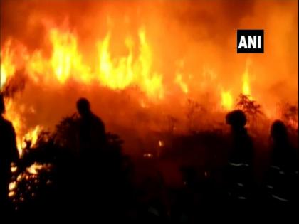 The forest burned in the aarey colony; Grass pastoral with trees | आरेतल्या जंगलात लागलेल्या वणव्यावर नियंत्रण, सहा तासांनंतर अग्निशामक दलाकडून आग आटोक्यात