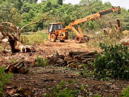 two crore 70 lakh spend for tree in aarey colony for metro carshed cutting reveals rti | आरेतील वृक्षतोडीत घोटाळा?; खर्चाचा आकडा पाहून धक्का बसेल