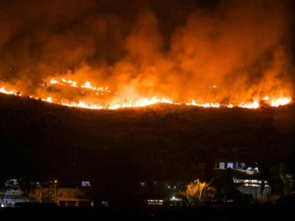 shiv sena mla sunil prabhu demands cbi inquiry in aarey fire | आरेतील आगीची सीआयडीमार्फत चौकशी करा; आ. सुनिल प्रभूंची मागणी