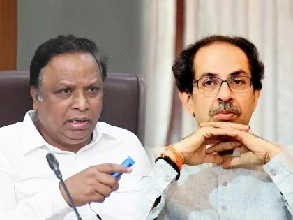 BJP leader Ashish Shelar has criticized Uddhav Thackeray | जे दुसऱ्याच्या यशाअपशावर जळत राहतात...; आशिष शेलारांचा उद्धव ठाकरेंवर अप्रत्यक्ष निशाणा