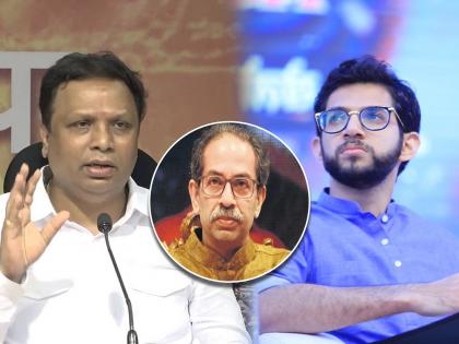 BJP Ashish Shelar Slams Aaditya Thackeray Over worli and Politics | Ashish Shelar :"वरळीच्या आमदारांना पेग, पेंग्विन, पार्टीशिवाय काहीच दिसत नाही", आशिष शेलारांचा खोचक टोला