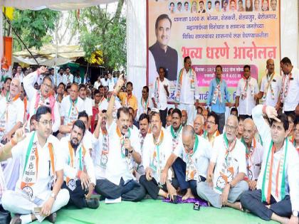 Declare a bonus to paddy or lower the chair, Dharna movement of NCP | धानाला बोनस जाहीर करा अन्यथा खुर्ची खाली करा; राष्ट्रवादी काँग्रेसचे धरणे आंदोलन