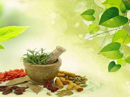 Health care centers will be set up to help spread Ayurveda | आयुर्वेदाच्या प्रसारासाठी आरोग्यवर्धिनी सेवा केंद्रे सुरू करणार