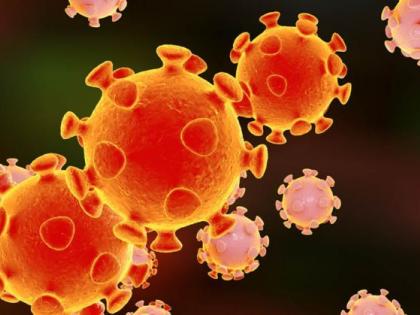 Coronavirus in Nagpur: Consolation remains, death toll worrying | CoronaVirus in Nagpur : दिलासा कायम, मृत्यूसंख्या मात्र चिंताजनक