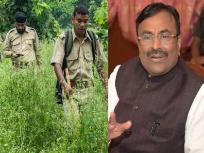 Clear way for recruitment of 1256 Forest Guards; An important decision of the maharashtra government | १२५६ वनरक्षकांच्या भरतीचा मार्ग मोकळा; राज्य सरकारचा महत्वाचा निर्णय