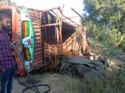 A tempo carrying a buffalo overturned on the Kalyan Nagar highway; 8 buffaloes died on the spot | कल्याण नगर महामार्गावर म्हशी घेऊन जाणारा टेम्पो पलटी; ८ म्हशींचा जागीच मृत्यू, २ गंभीर जखमी