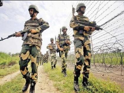 BSF nabs Pakistani national entering Indian territory; He was taken into custody by the Punjab Police | भारतीय हद्दीत घुसणाऱ्या पाकिस्तानी नागरिकाला BSFने पकडले; पंजाब पोलिसांनी घेतले ताब्यात