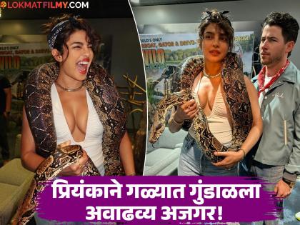 Video: अबब! प्रियंका चोप्राच्या गळ्यात भला मोठा अजगर; पती निक जोनासची होती 'अशी' प्रतिक्रिया
