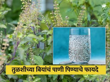 Drinking basil seed water will give you 5 tremendous benefits | तुळशीच्या बियांचं पाणी पिऊन मिळतात हे जबरदस्त फायदे, पोटाची समस्या होईल दूर