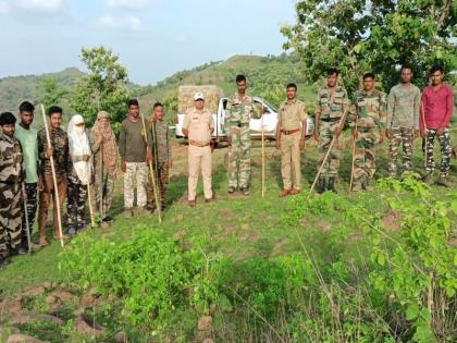 Three fires in the air at Gyanganga Sanctuary; 40 to 45 shepherds attack forest workers | ज्ञानगंगा अभयारण्यात हवेत तीन फायर; ४० ते ४५ मेंढपाळांचा वन कर्मचाऱ्यांवर हल्ला