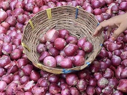 onion purchase does not benefit farmers at market price 2800 buy nafed at rs 2400 | कांदा खरेदीचा शेतकऱ्यांना लाभ नाही; बाजारभाव २८०० वर, नाफेडची खरेदी मात्र २४०० रुपयाने