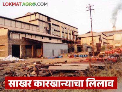 NCDC's Rs 85 crore debt is due; 'this' sugar factory will be auctioned in the state | एनसीडीसीचे ८५ कोटी रुपयांचे कर्ज थकले; राज्यात 'या' साखर कारखान्याचा होणार लिलाव NCDC's Rs 85 crore debt is due; 'this' sugar factory will be auctioned in the state | एनसीडीसीचे ८५ कोटी रुपयांचे कर्ज थकले; राज्यात 'या' साखर कारखान्याचा होणार लिलाव