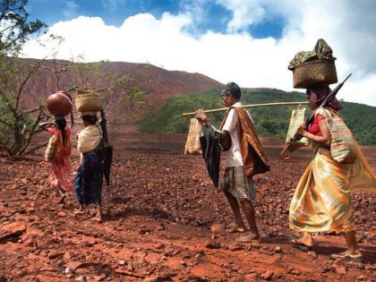 Maharashtra No 1, Distribution of 31 lakh acres of land to the tribals | महाराष्ट्र नं 1, राज्यात आदिवासींना 31 लाख एकर जमिनीचे वाटप