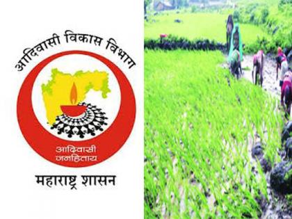 Corporation will purchase paddy from farmers only if e-Peak is registered | ई-पीक नोंदणी असेल तरच महामंडळ खरेदीकरणार शेतकऱ्यांकडून धान