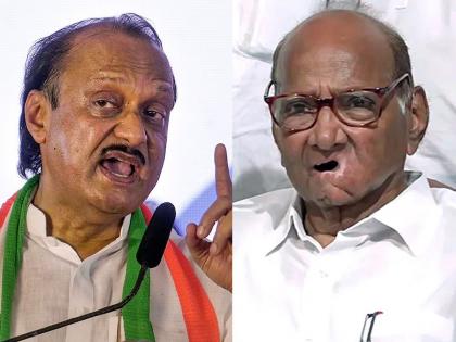 One should not dominate the party; Allegation of Ajit Pawar group in the argument, the hearing was prolonged for a month | पक्षावर एकानेच वर्चस्व गाजवू नये; युक्तिवादात अजित पवार गटाचा आरोप, सुनावणी महिनाभर लांबली