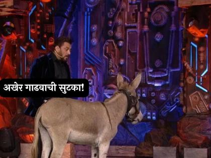 After PETA decision bigg boss 18 makers removed donkey gadhraj from the show | PETA च्या निर्णयानंतर Bigg Boss 18 मधील गधराजला दाखवला बाहेरचा रस्ता, नेमकं प्रकरण काय?