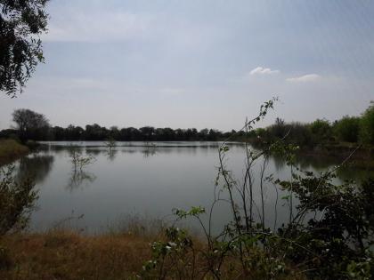 When the river was alive again .. | नदी पुन्हा जिवंत होते तेव्हा..