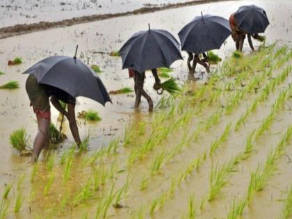 pune rain will reduce, sowing will start if there is a chance, situation in the state for the next five days | पाऊस कमी होणार, उघडीप मिळाल्यास पेरण्या मार्गी लागणार, राज्यात पुढील पाच दिवसांतील स्थिती pune rain will reduce, sowing will start if there is a chance, situation in the state for the next five days | पाऊस कमी होणार, उघडीप मिळाल्यास पेरण्या मार्गी लागणार, राज्यात पुढील पाच दिवसांतील स्थिती