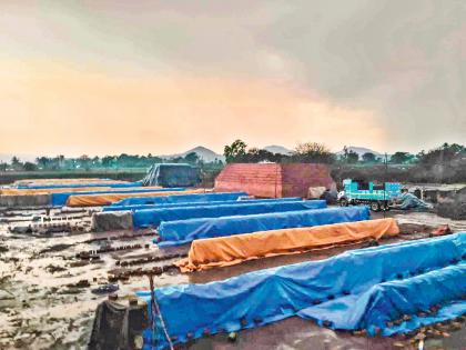 आंबेगाव तालुक्यात अवकाळी पावसाचा तडाखा; पिकांसह वीटभट्ट्यांचे मोठे नुकसान - Marathi News | pune news unseasonal rains hit Ambegaon taluka; Heavy damage to crops and brick kilns | Latest pune News at Lokmat.com