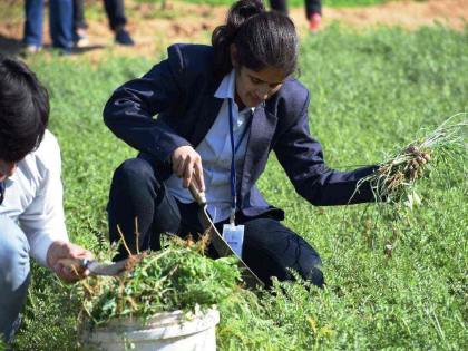 Nanded Agricultural College, 60 students will be admitted in the current academic year | चालू शैक्षणिक वर्षातच नांदेडला कृषी महाविद्यालय, ६० विद्यार्थ्यांना दिला जाणार प्रवेश