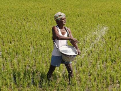 Those who rob the farmers in the purchase of fertilizers are no longer good; The government will make provisions in the new law | शेतकऱ्यांना खत खरेदीमध्ये लुटणाऱ्यांची आता खैर नाही; नवीन कायद्यात सरकार करणार तरतूद