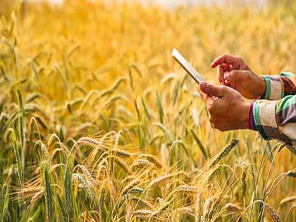 pune news alliance to make records on Satbara Utara online, one and a half lakh applications in the district, 98 thousand approved | सातबारा उताऱ्यावरील नोंदी ऑनलाइन करण्यात आघाडी, जिल्ह्यात सव्वा लाख अर्ज, ९८ हजार मंजूर pune news alliance to make records on Satbara Utara online, one and a half lakh applications in the district, 98 thousand approved | सातबारा उताऱ्यावरील नोंदी ऑनलाइन करण्यात आघाडी, जिल्ह्यात सव्वा लाख अर्ज, ९८ हजार मंजूर