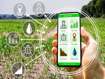 pune news the number of real farmers in the district is 6 lakh;Statistics clear from the Agristack scheme | जिल्ह्यातील खऱ्या शेतकऱ्यांची संख्या ६ लाख; ॲग्रिस्टॅक योजनेतून आकडेवारी स्पष्ट