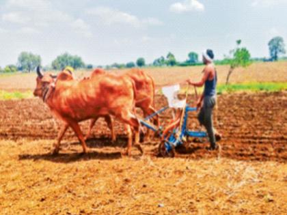 14,000 crores booster for farmers, increase in income of Baliraja will get strength, cabinet approves 7 important schemes for agriculture sector | शेतकऱ्यांसाठी १४ हजार काेटींचा बूस्टर, बळीराजाच्या उत्पन्नवाढीला मिळेल बळ, कृषी क्षेत्रासाठी ७ महत्त्वपूर्ण याेजनांना मंत्रिमंडळाची मंजुरी