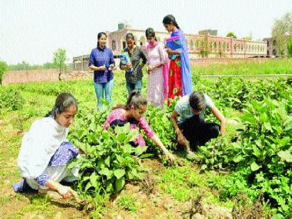 The state will now have a new agricultural education system | राज्यात आता येणार नवे कृषी शिक्षण धाेरण