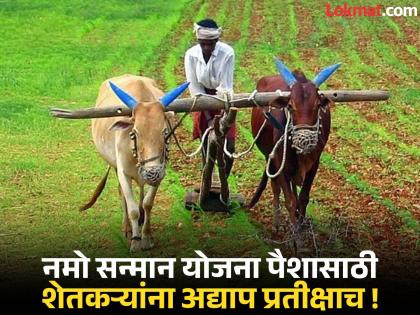 When will Namo farmers get money? We need a promise to give it in Kharif? There is no provision for an additional 3 thousand crores | नमो शेतकरीचे पैसे कधी ? खरिपात देण्याचे आश्वासन हवेतच? अतिरिक्त ३ हजार कोटींची तरतूद नाही When will Namo farmers get money? We need a promise to give it in Kharif? There is no provision for an additional 3 thousand crores | नमो शेतकरीचे पैसे कधी ? खरिपात देण्याचे आश्वासन हवेतच? अतिरिक्त ३ हजार कोटींची तरतूद नाही