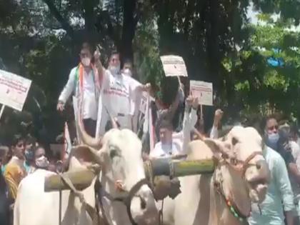 NCP's agitation in Thane against fuel price hike; Cooking on the stove by women | इंधन दरवाढीविरोधात राष्ट्रवादी काँग्रेसचे ठाण्यात बैलगाडी आंदोलन; महिलांकडून चुलीवर स्वयंपाक