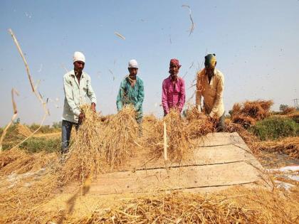 Reforms in the law have calmed farmers in the state | कायद्यात सुधारणांमुळे राज्यात शेतकरी शांत; कृषी आंदोलन पार्श्वभूमीवर उमेशचंद्र सरंगी यांचे मत