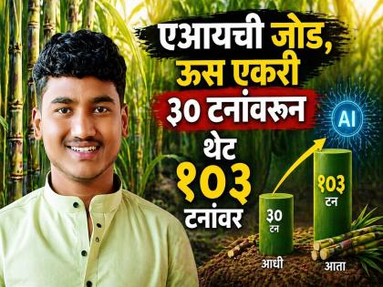 धाराशिवचा तरुण शेतीत रमला; एआयच्या जोडीने एका एकरात काढला १०३ टन ऊस, दुप्पट उत्पन्न - Marathi News | Dharashiv youth enjoys farming, AI pair harvests 103 tons of sugarcane in one acre | Latest dharashiv News at Lokmat.com