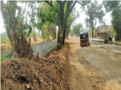 Trees obstruct Lonere-Goregaon road widening; The obstacle will be removed after the joint is counted | लोणेरे- गोरेगाव रस्ता रुंदीकरणास झाडांचा अडथळा; संयुक्त मोजणी झाल्यानंतर अडथळा होणार दूर