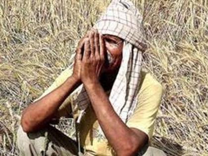 Allotment of 120 crores of aid to farmers | शेतकऱ्यांना १२० कोटींच्या मदतीचे वाटप