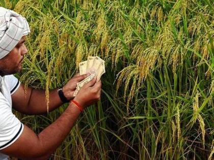 36.79 crore aid distributed to farmers! | शेतकऱ्यांसाठी ३६.७९ कोटींची मदत वितरित!