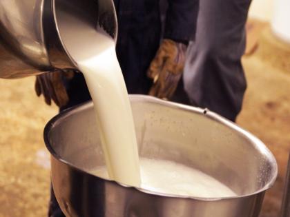 Will enact FRP on milk; Decision in the meeting of the Ministry | दुधाला एफआरपीचा कायदा करणार; मंत्रालयातील बैठकीत निर्णय